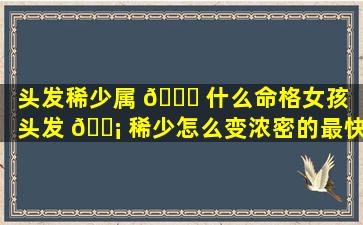 头发稀少属 🐘 什么命格女孩（头发 🐡 稀少怎么变浓密的最快方法）
